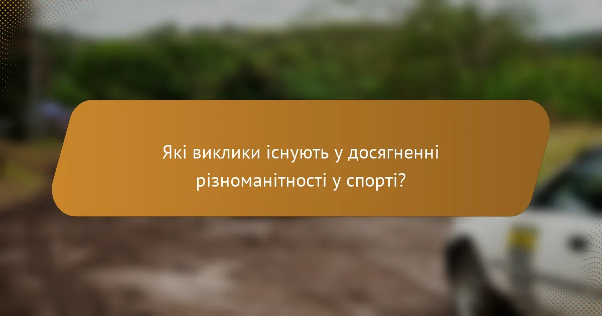 Які виклики існують у досягненні різноманітності у спорті?